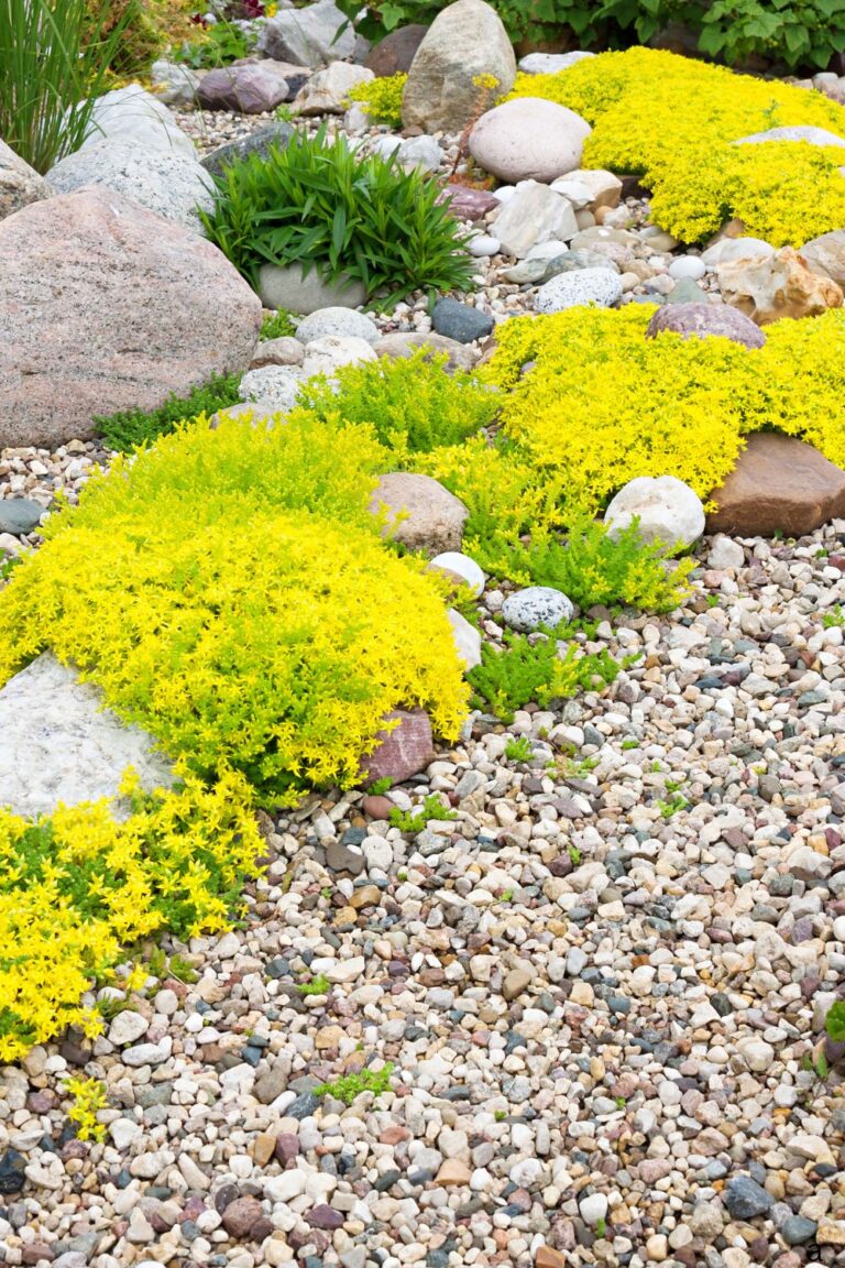 17+ Low Maintenance Rock Garden Ideas To Transform Your Yard